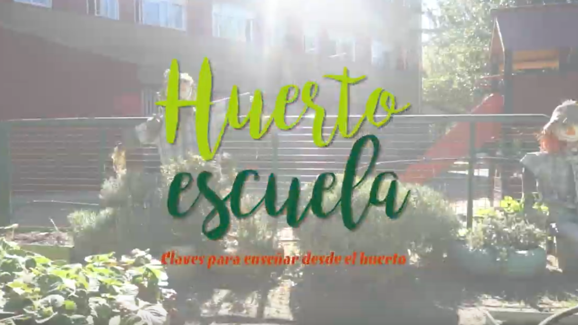 Huerto Escuela – Semillas de albahaca