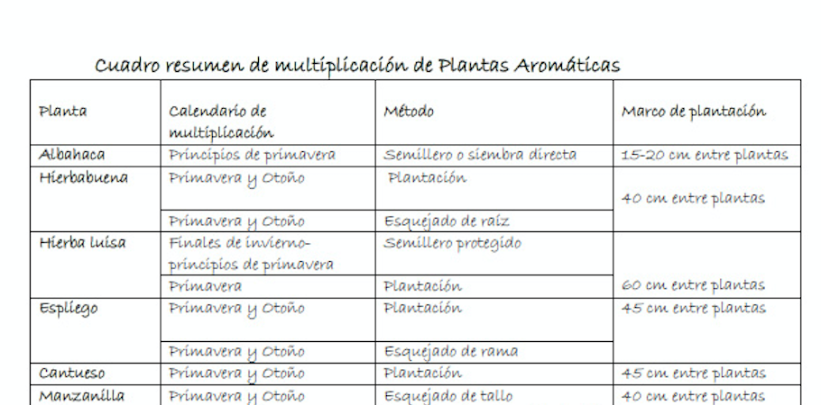 Cultivo de aromáticas