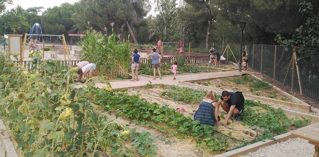 La salud del huerto