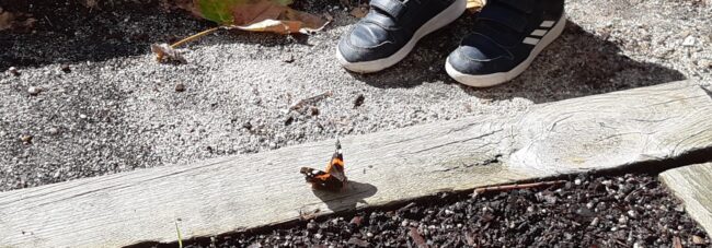 atalanta quinto centenario